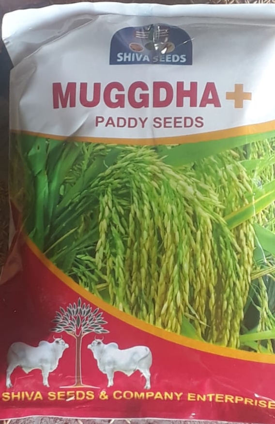 Muggdha +