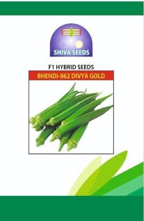 Bhindi -862 Divya Gold
